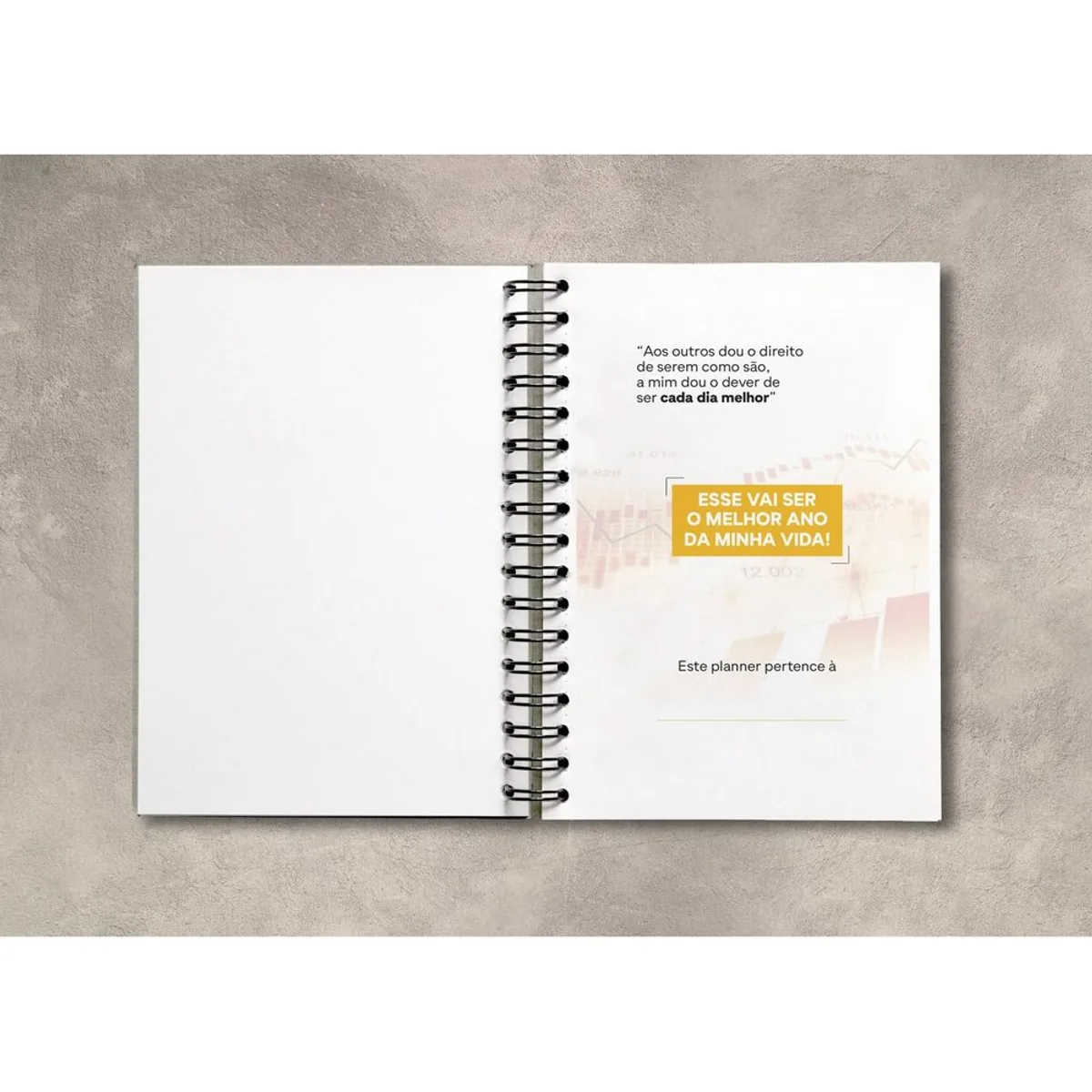 Planner do Trader — foto 5